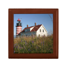 Blomkål i Väster Quoddy