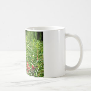 Blomkål Kaffemugg