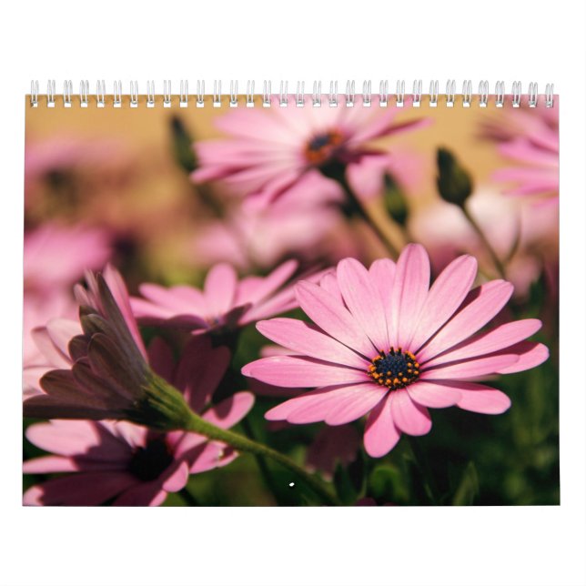 Blomkalender Kalender (Omslag)