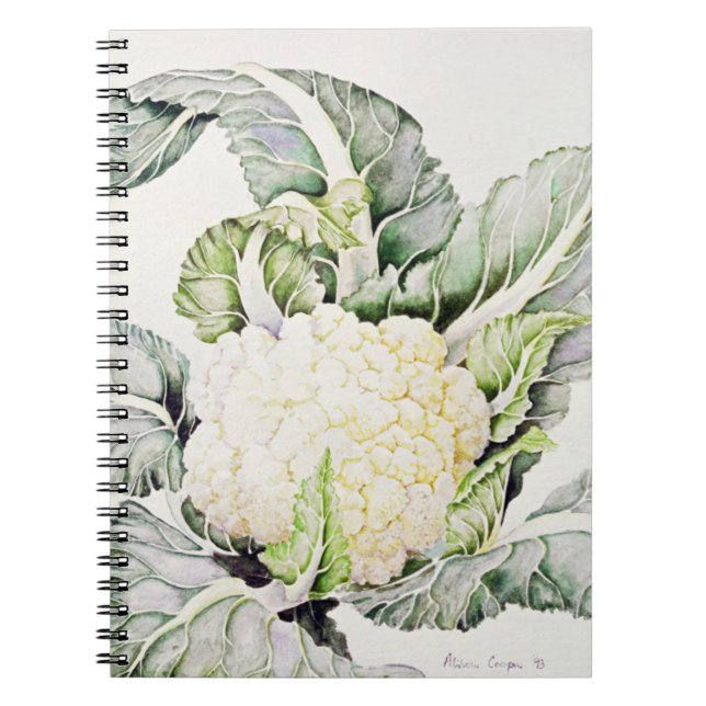 Blomkålstudie 1993 anteckningsbok (Framsidan)