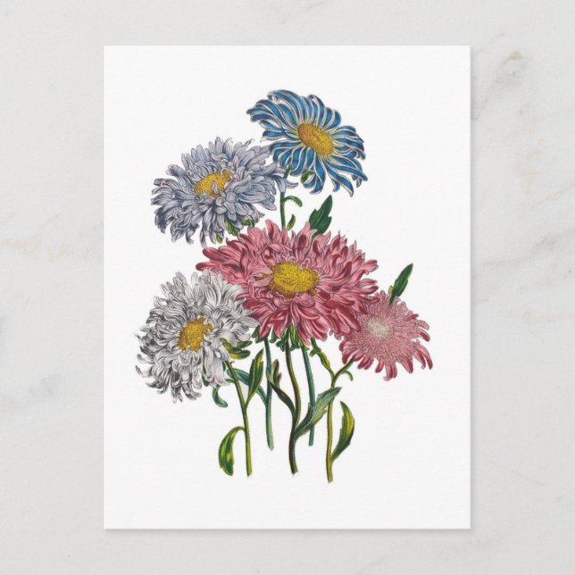 Blomkarneval Vykort (Framsida)