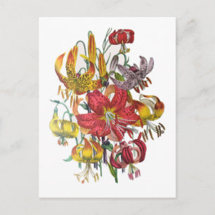 Blomkarneval Vykort