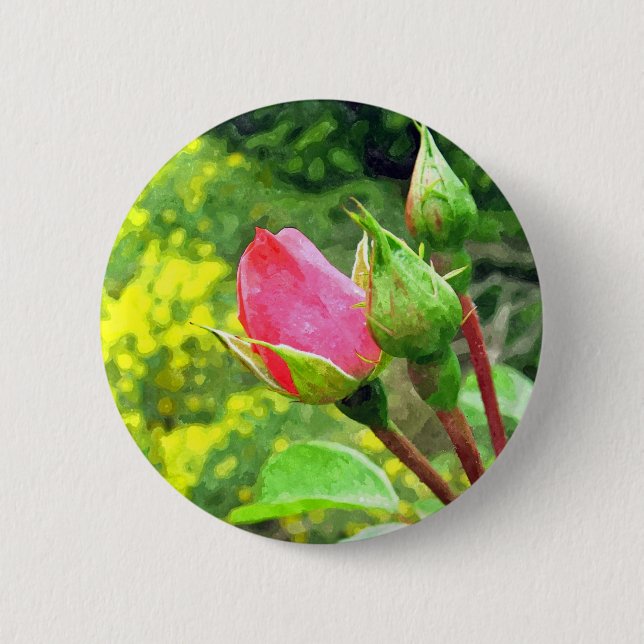 Blomknoppar av sommarblomma från rosa ros knapp (Framsida)