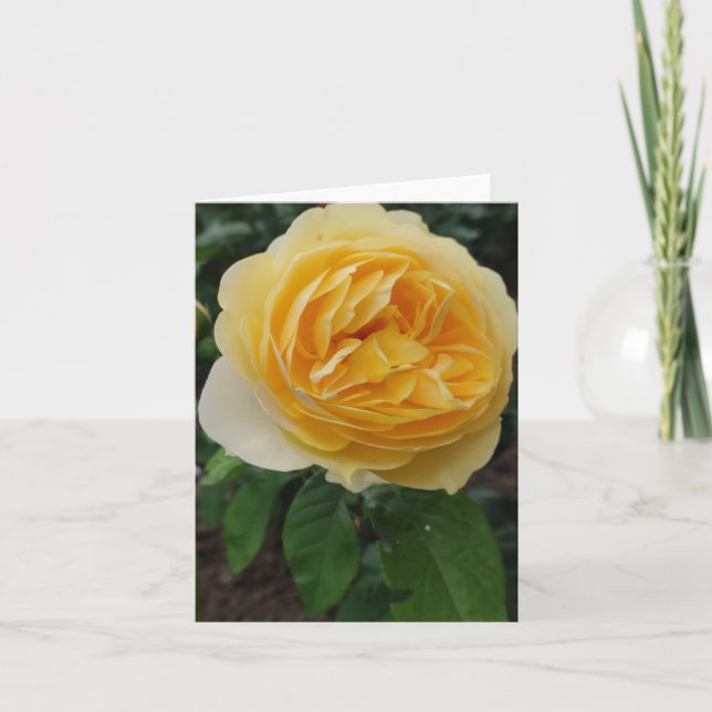 Blomkort för gul ros kort (Framsida)