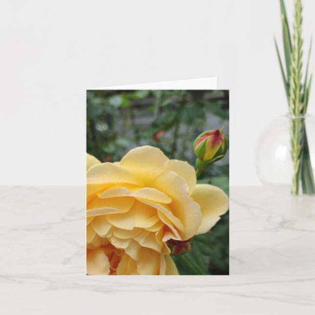 Blomkort för gul ros kort (Framsida)