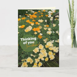 Blomkort för gultens Orange Kort