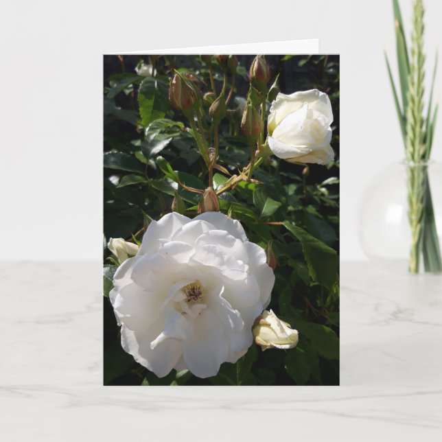 Blomkort för ro kort (Framsida)