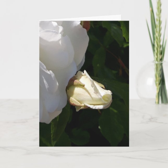 Blomkort för ro kort (Framsida)