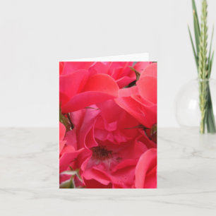 Blomkort för rosa ros kort