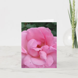 Blomkort för rosa ros kort