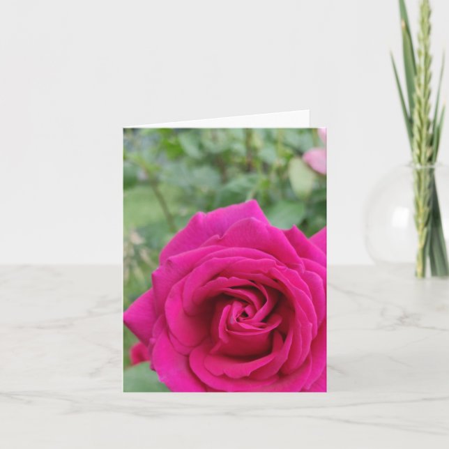 Blomkort för rosa ros kort (Framsida)
