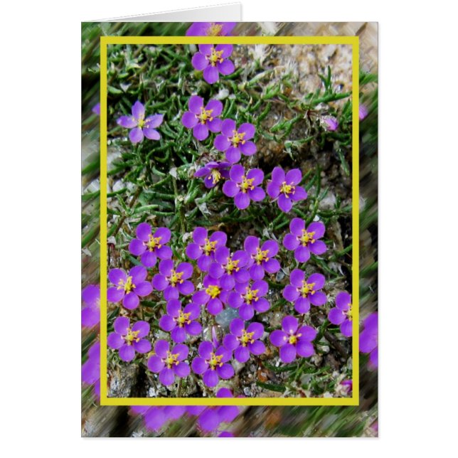 Blomkort för vild hälsningskort (Framsidan)