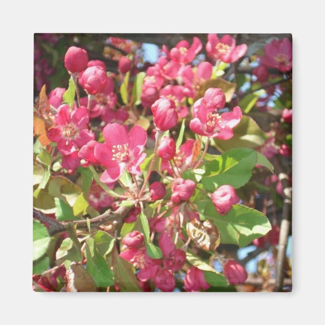 Blomkrage1 Magnet (Framsidan)