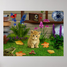 Blomkrom kattunge groda bild poster naturen