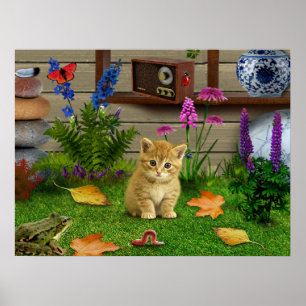 Blomkrom kattunge groda bild poster naturen