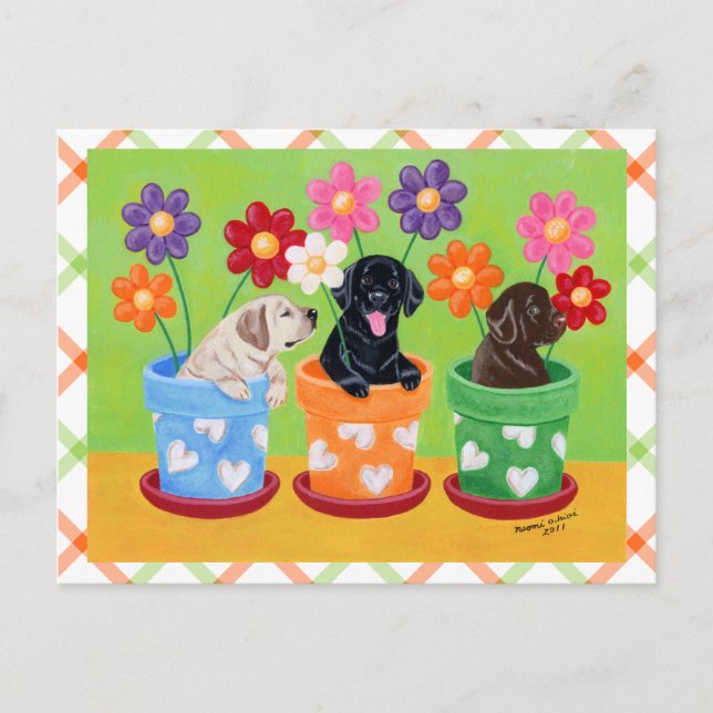 Blomkruka Labrador Valpar Vykort (Framsida)