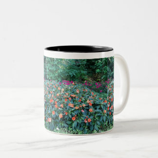 Blomkrus Två-Tonad Mugg