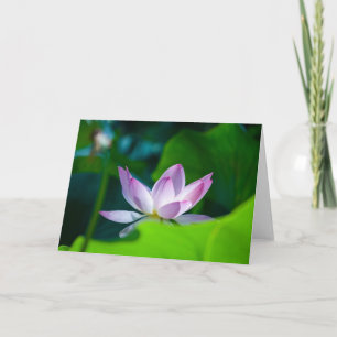 Blomma #0417 kort