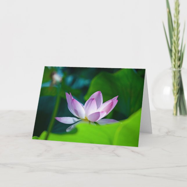 Blomma #0417 kort (Framsida)