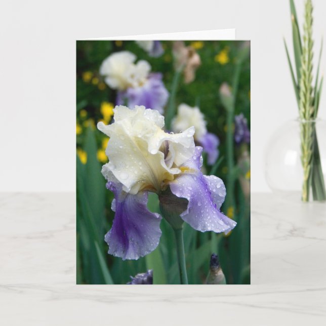 Blomma #2090 kort (Framsida)