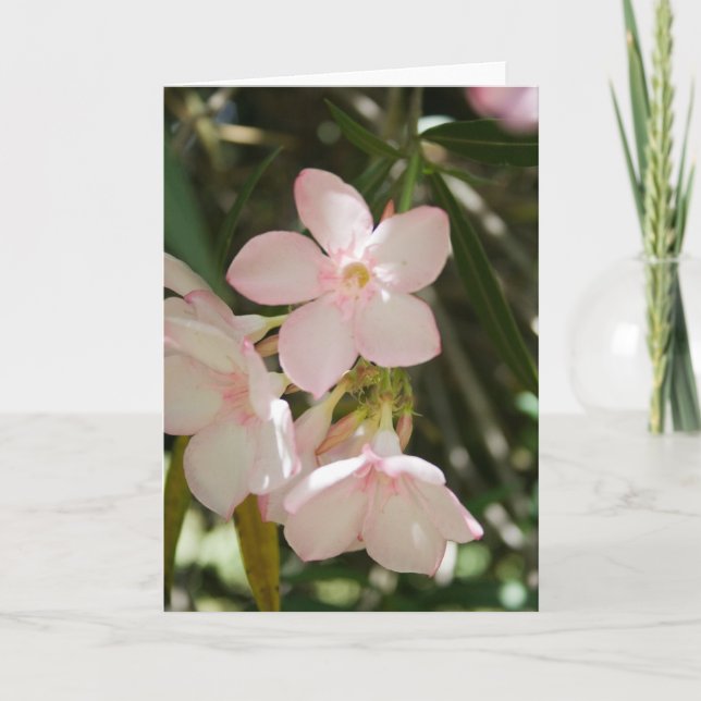 Blomma #3363 kort (Framsida)