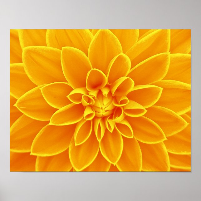 blomma-663650 BRIGHT SOMMER ORANGE GULA BLOMMOR Poster (Framsidan)