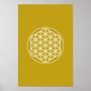 Blomma av liv - guld & vit poster
