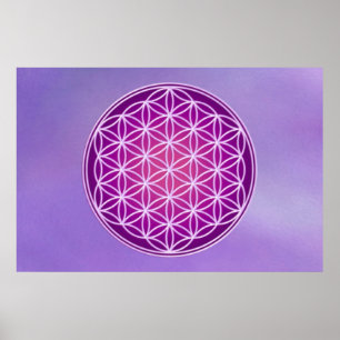Blomma av liv - krona Chakra Poster