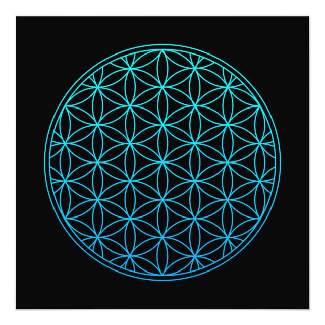 blomma av livsstilsymbolen helig, gammal frusen fototryck (Framsidan)