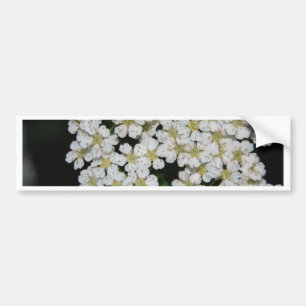 blomma bildekal