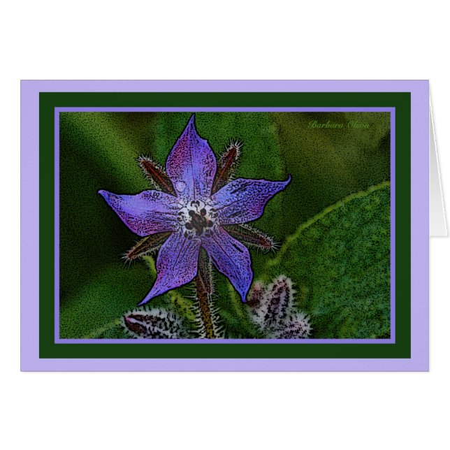 Blomma: Borage Hälsningskort (Framsidan Horizontal)