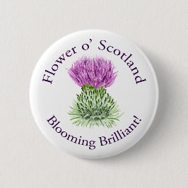 Blomma briljant skotsk Thistle Knapp