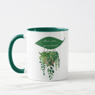 blomma där du planterade Mugg