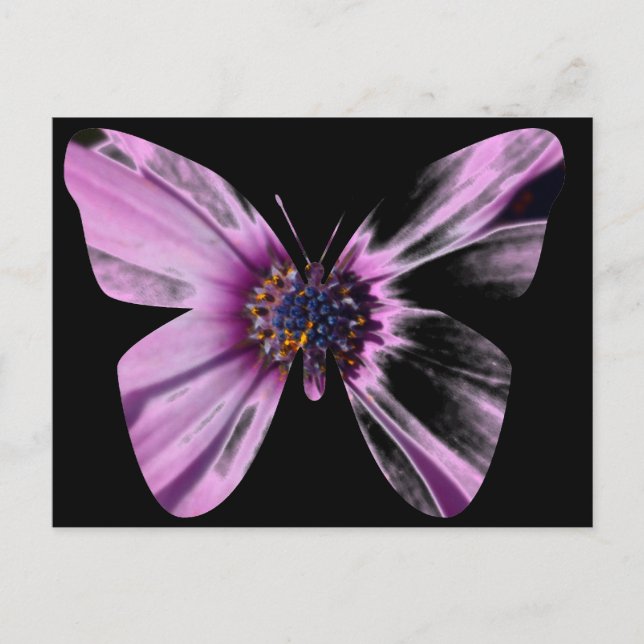 Blomma Fjäril Vykort (Framsida)