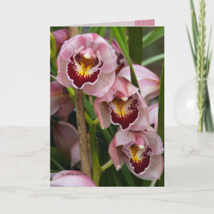Blomma för 3 rosa damer kort