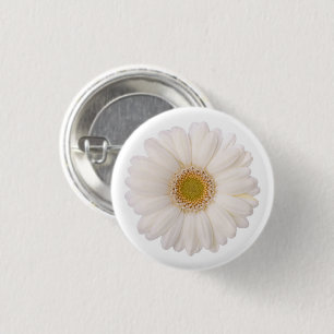 Blomma för daisy för klassikervitGerbera Knapp