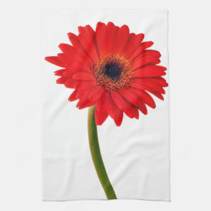 Blomma för daisy för röda Gerber daisyblommor Kökshandduk