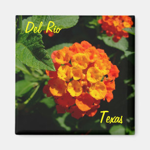 Blomma för Del Rio Texas magnetLantana Magnet