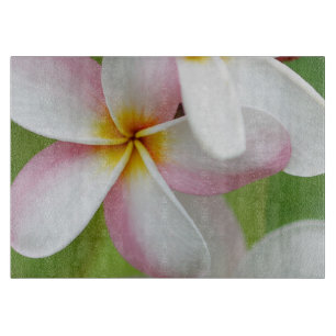 Blomma för hawaiansk Frangipani för