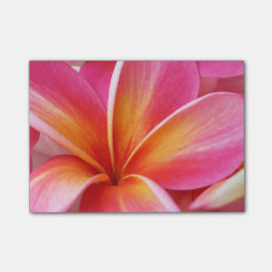Blomma för hawaiansk Frangipani för Post-it Block