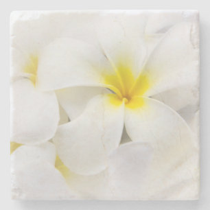 Blomma för hawaiansk Frangipani för Underlägg Sten