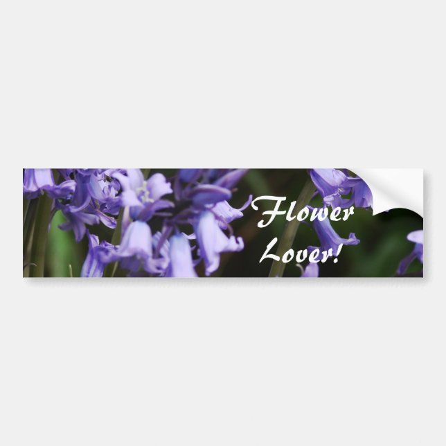 Blomma för lilor för blått för bildekal (Framsidan)