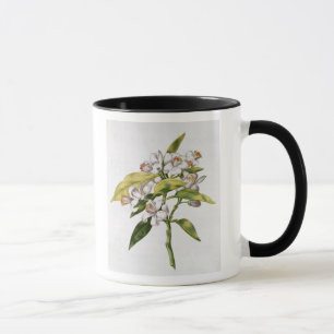 Blomma för orange träd, från 'La Guirlande de Mugg