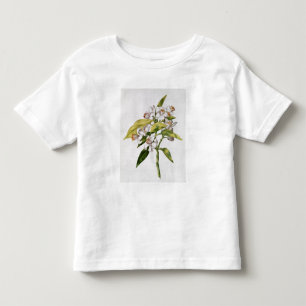 Blomma för orange träd, från 'La Guirlande de T-shirt