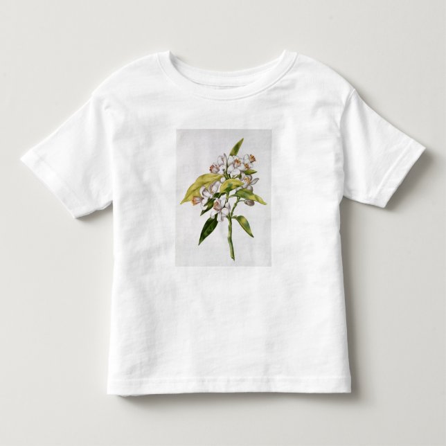 Blomma för orange träd, från 'La Guirlande de Tröja (Framsida)
