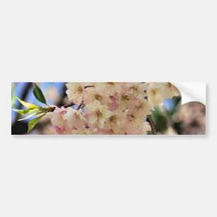 Blomma för rosavårblommar bildekal