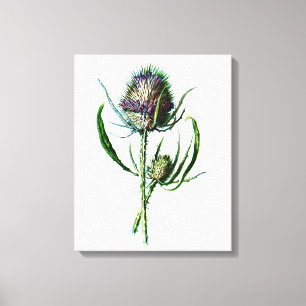 Blomma för vild för skotsk Thistle för vintage Canvastryck