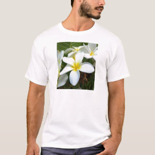 Blomma för vitHawaii Plumeria Tröja