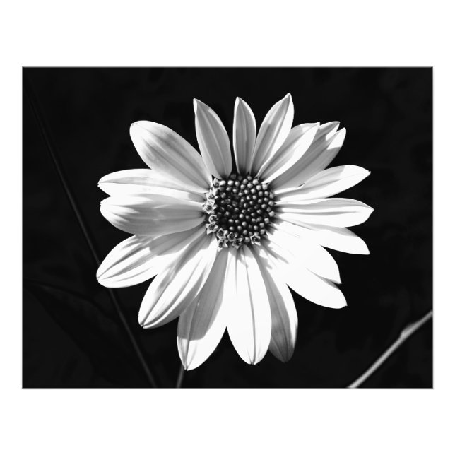 blomma fototryck (Framsidan)