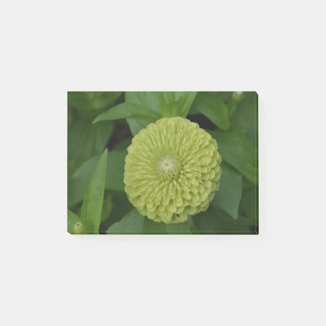 Blomma grön Zinniablomma Post-it Block (Framsida)